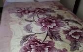 Туры в отель Bermuda Garden Hotel