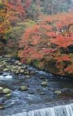Туры в отель Fukuzumiro
