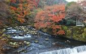 Туры в отель Fukuzumiro