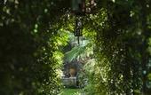 Туры в отель La Divine Comedie - Suites Deluxe
