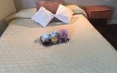 Туры в отель Hotel de la Gare – urban by balladins