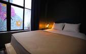 Туры в отель Hotel Virreyes Mexico