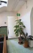 Туры в отель Hotel San Fernando