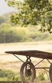 Туры в отель Agriturismo Pomonte