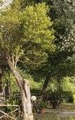 Туры в отель Agriturismo Pomonte