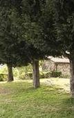 Туры в отель Agriturismo Pomonte