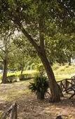 Туры в отель Agriturismo Pomonte