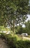 Туры в отель Agriturismo Pomonte