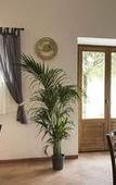 Туры в отель Agriturismo Pomonte