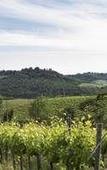Туры в отель Agriturismo Pomonte