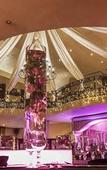 Туры в отель Casa Toscana