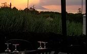 Туры в отель Hotel Il Vulcano