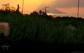 Туры в отель Hotel Il Vulcano