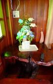 Туры в отель Banmai Hom Resort