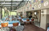 Туры в отель The Life Hotel & Spa