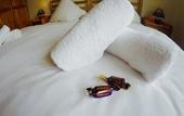 Туры в отель Hotel Bergheim an der Erft