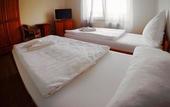 Туры в отель Hotel Bergheim an der Erft