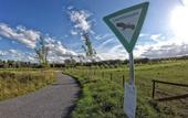 Туры в отель Hotel Bergheim an der Erft