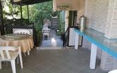 Туры в отель Cicek Otel & Apartments