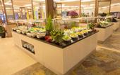 Туры в отель Seven Seas Palmeras Bay Hotel