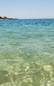Туры в отель Montage Los Cabos