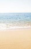 Туры в отель Montage Los Cabos