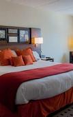 Туры в отель Delta Hotels by Marriott Utica