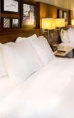 Туры в отель Delta Hotels by Marriott Utica