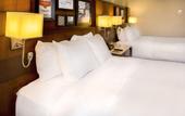 Туры в отель Delta Hotels by Marriott Utica