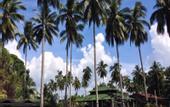 Туры в отель Fishing Bay Resort
