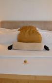 Туры в отель Gold Crest Hotel - Mwanza
