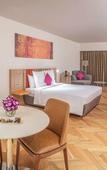 Туры в отель Novotel Vijayawada Varun Hotel