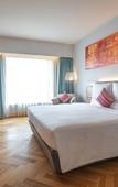 Туры в отель Novotel Vijayawada Varun Hotel