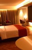 Туры в отель Novotel Vijayawada Varun Hotel