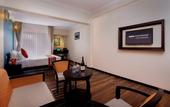 Туры в отель Hotel Sarowar Pokhara-Luxury Hospitality in the Heart of Pokhara