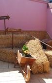 Туры в отель Tenuta Madre Terra Resort