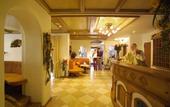 Туры в отель Hotel Erika