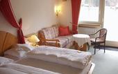 Туры в отель Hotel Erika