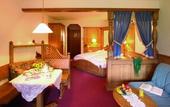 Туры в отель Hotel Erika