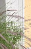 Туры в отель Le Continental Hotel