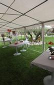Туры в отель Le Continental Hotel