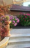 Туры в отель Le Continental Hotel