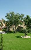 Туры в отель Le Continental Hotel