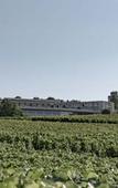 Туры в отель Royal Champagne Hotel & Spa