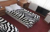 Туры в отель Hotel Cenedag