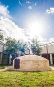 Туры в отель Mia Bacalar Luxury Resort & Spa