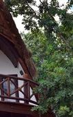 Туры в отель Mia Bacalar Luxury Resort & Spa