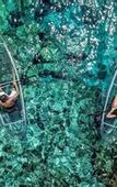 Туры в отель Mia Bacalar Luxury Resort & Spa
