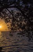 Туры в отель Mia Bacalar Luxury Resort & Spa