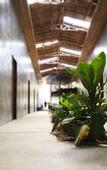 Туры в отель Big Paul Hostel - Adults Only